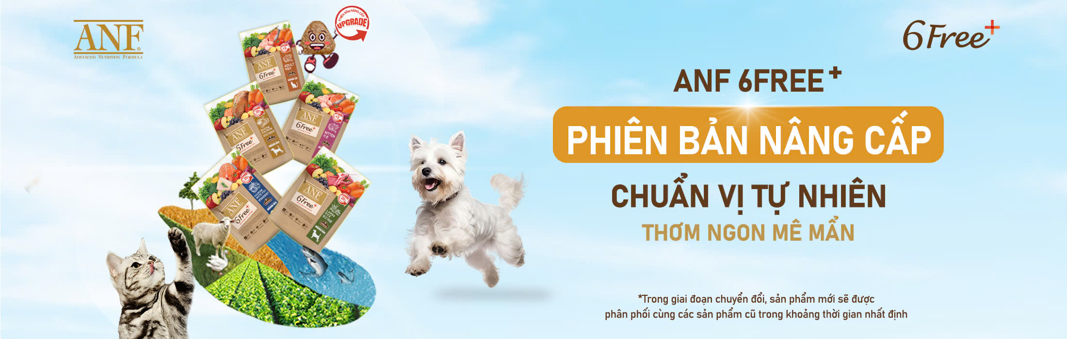 http://www.anf.vn/admin/