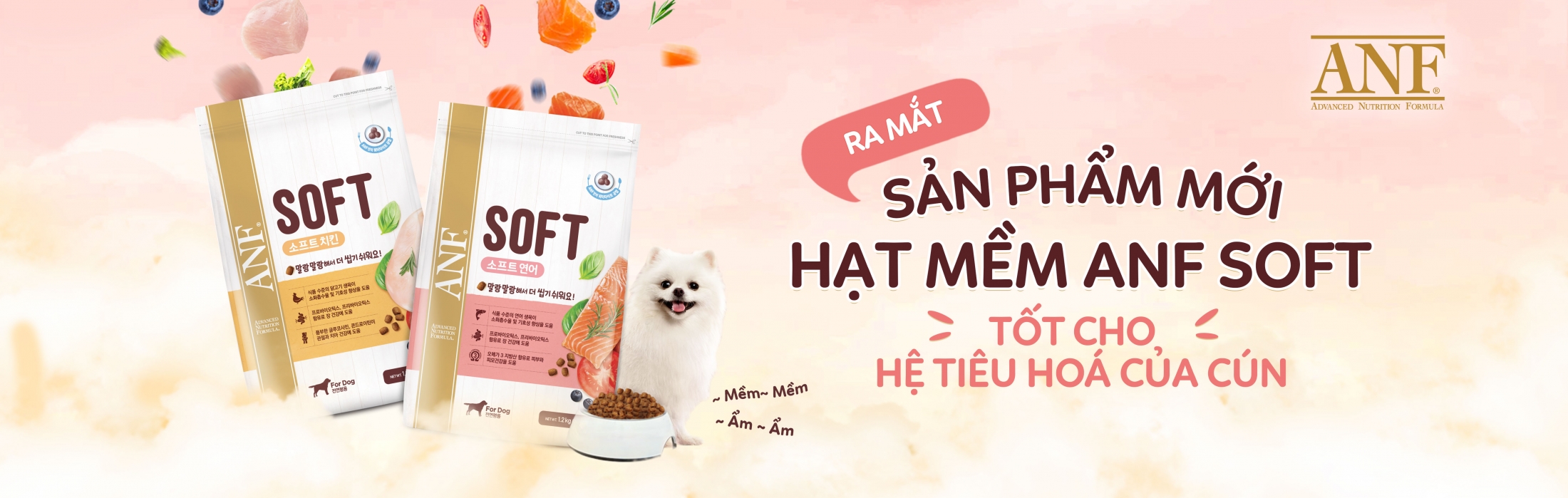 http://www.anf.vn/admin/
