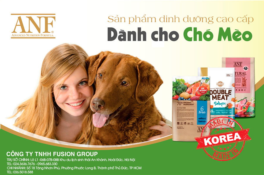 ANF Việt Nam